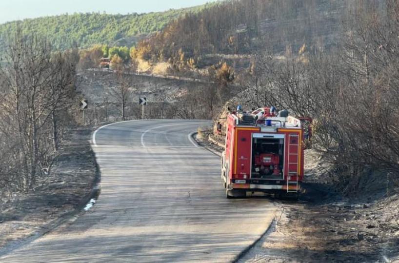 Incendi: nel parco dell'Alta Murgia bruciati 670 ettari a luglio