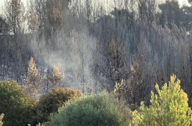 Incendi in Puglia, in fumo 1.400 ettari: «danni per 14 milioni»