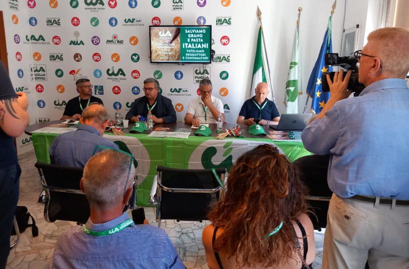 «Commissione unica prezzo del grano: Foggia dev’essere la sede nazionale»