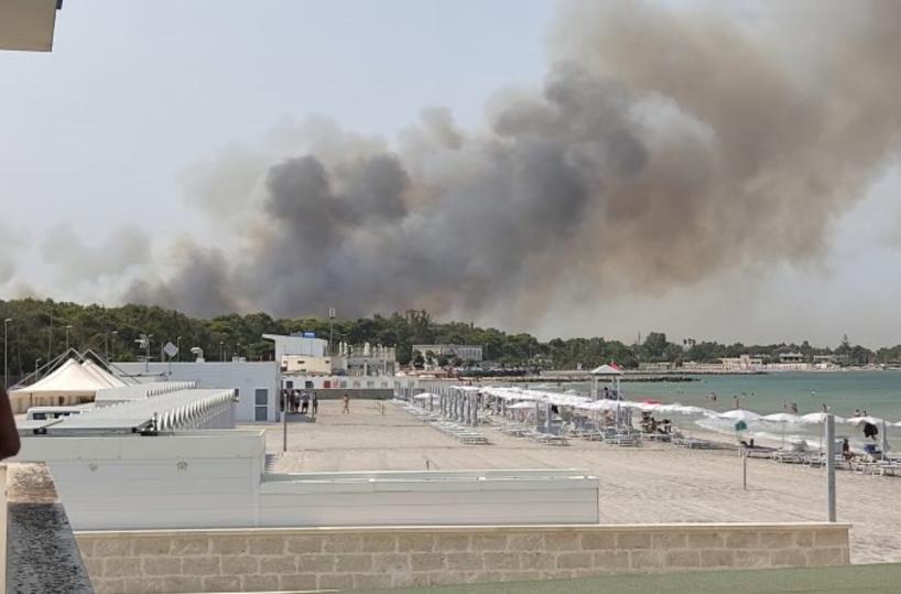 San Cataldo: come voltare pagina dopo il grande incendio del luglio scorso
