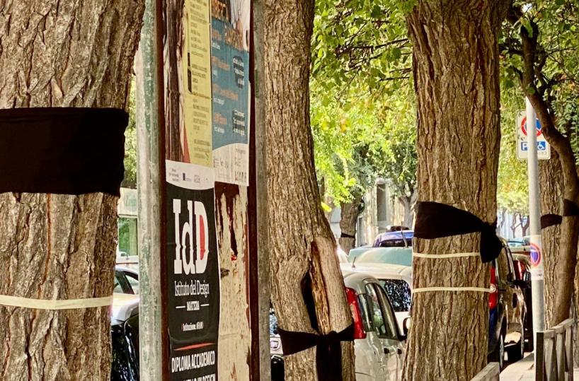 A Barletta un «Flash mob» a difesa degli alberi