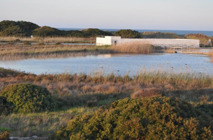 Dune ai privati, bufera sulla Regione Puglia. Bonelli: «Emiliano come la Santanchè»