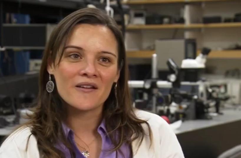 La scienziata Gambacorta premiata dalla Nasa: si è laureata a Bari