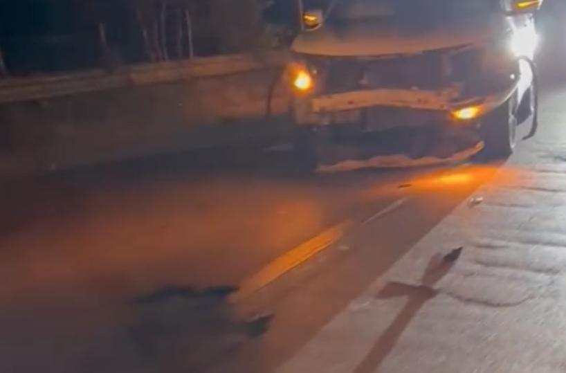 Mottola: travolti e uccisi nove cinghiali notte di caos sulla «Sp 23»