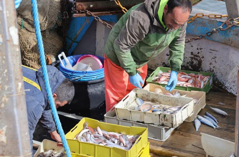 Fermo pesca da Brindisi a Taranto, Coldiretti: «Arriva in un momento difficile»