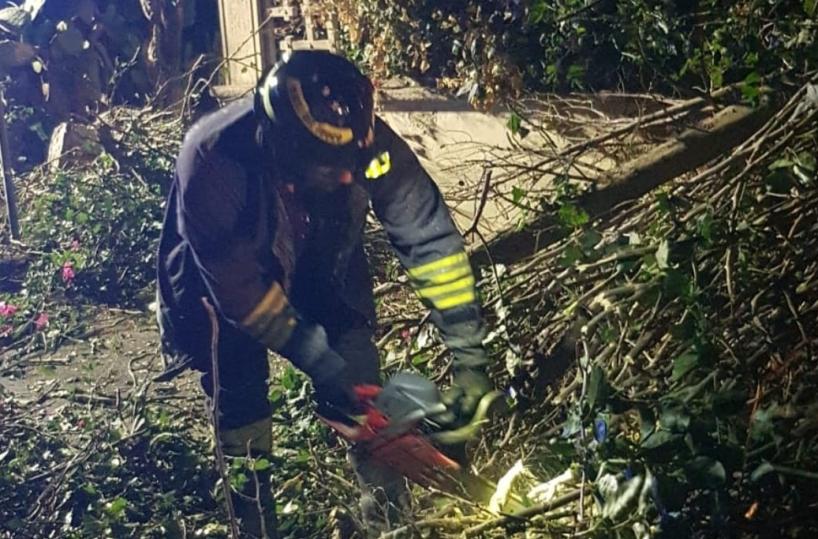 San Vito nei Normanni, un albero si abbatte su due auto: ferita una donna
