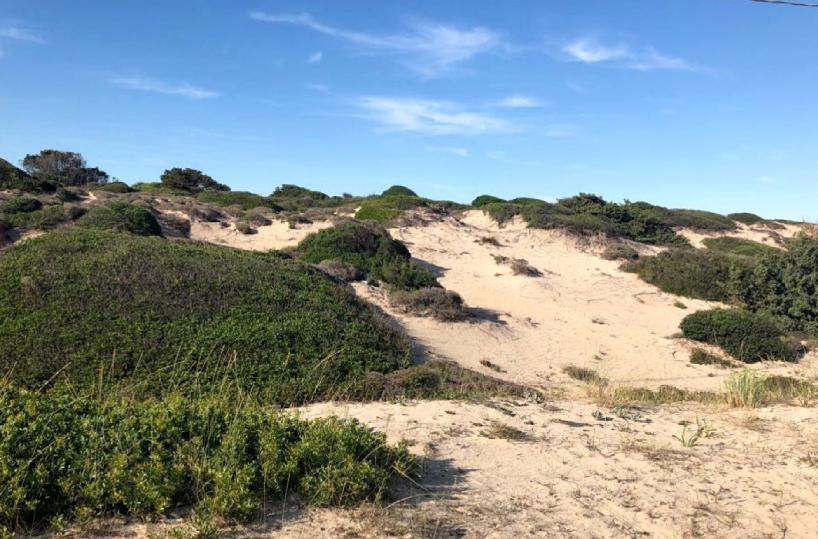 «Dune ai privati», la Regione Puglia verso il dietrofront