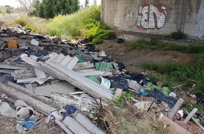 Piccole, grandi battaglie per non far morire l’ambiente e la speranza