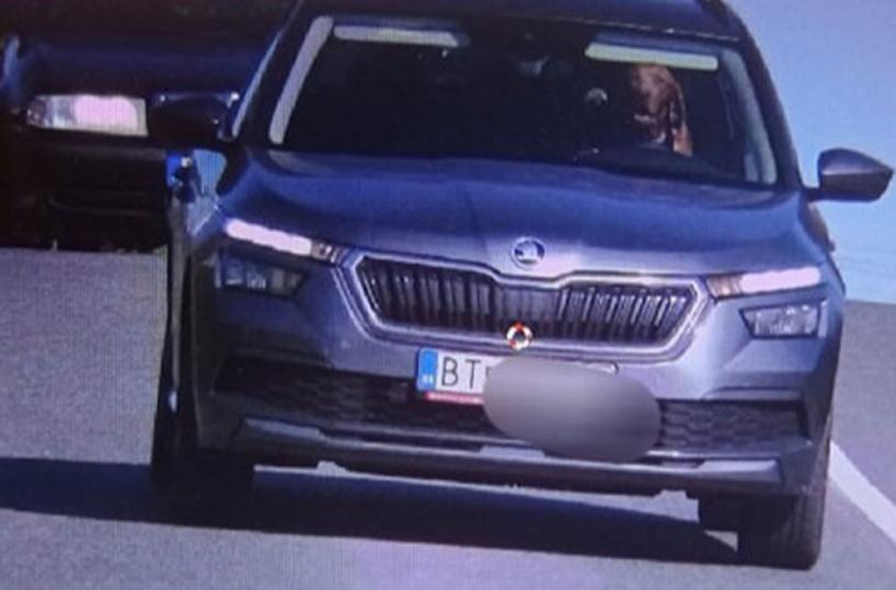 Cane al volante, la polizia multa il proprietario