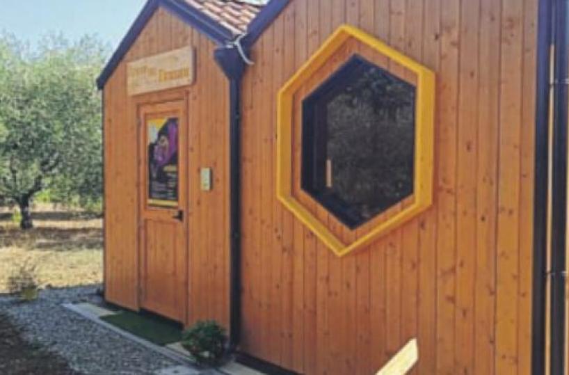 «Il bosco delle Api», a Teana la nuova frontiera del benessere