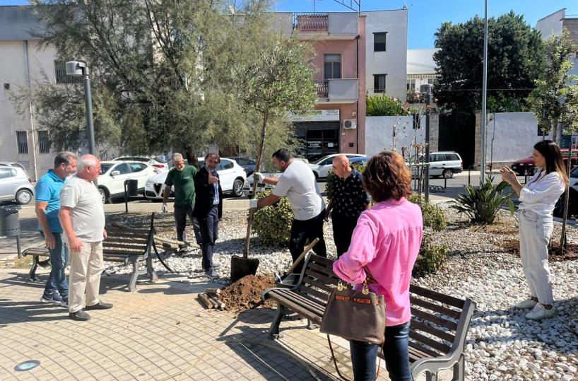 Latiano, l'Associazione Isola che non c'è dona 33 alberi alla città