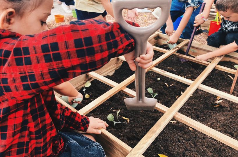 «Dalla terra alla tavola», con il progetto a Mola i bambini curano un orto