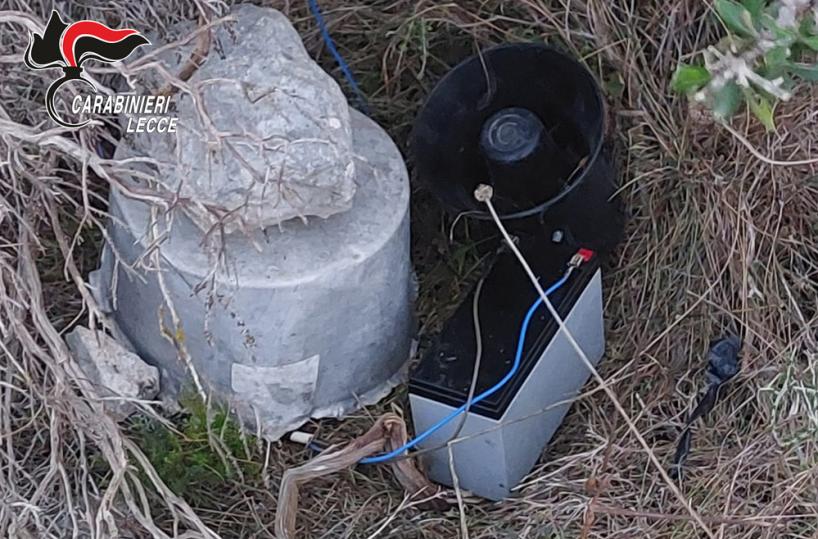 Corigliano, carabinieri trovano richiamo illegale per abbattere uccelli: sequestrato