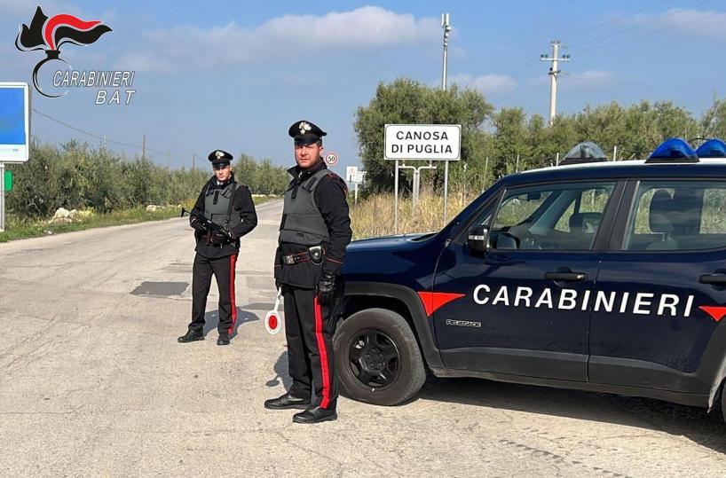 Sorpresi a rubare olive, tre arresti dei Carabinieri nella Bat