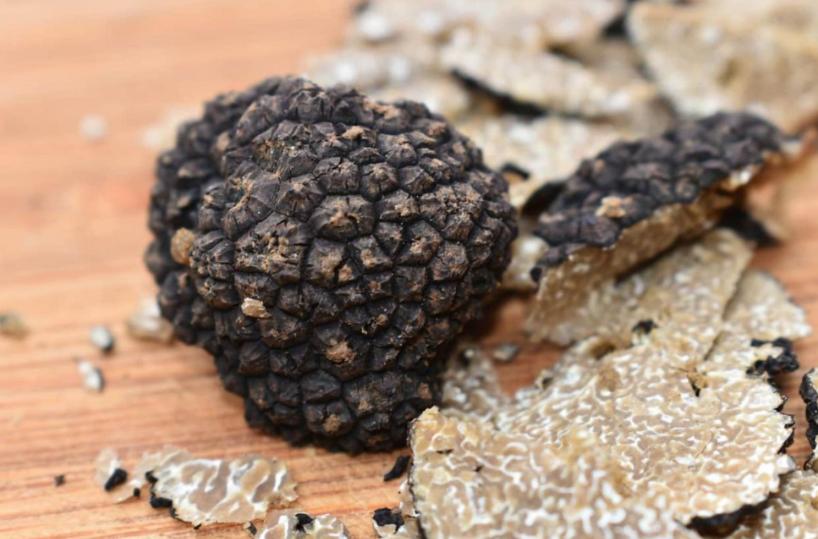 Val d’Agri? Non solo petrolio: ecco un giacimento di tartufi