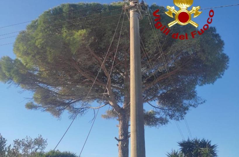 Tragedia sfiorata a Tricase, 50enne tocca i fili dell'alta tensione: ferito