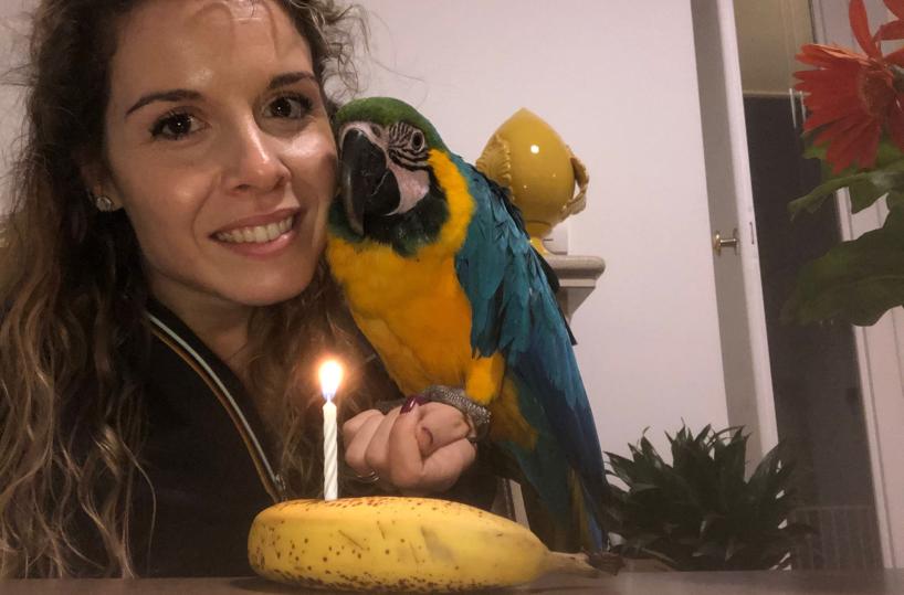 Fasano, la storia di Annamaria la donna che sussurrava agli animali