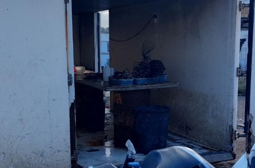 A Taranto la polizia sequestra 110 kg di prodotti ittici 