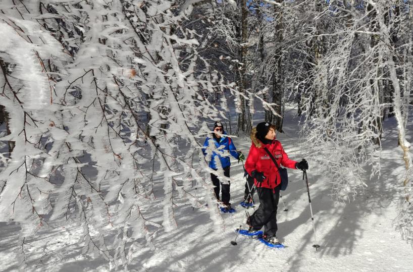 La magia del Pollino ciaspolando nella neve sul versante lucano della montagna