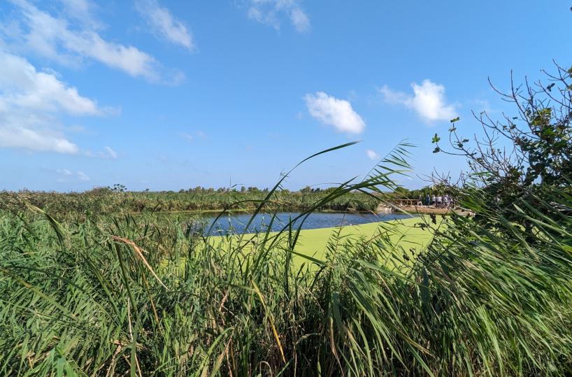 Acqua, clima e transizione energetica: AqP e Legambiente Puglia, un impegno condiviso