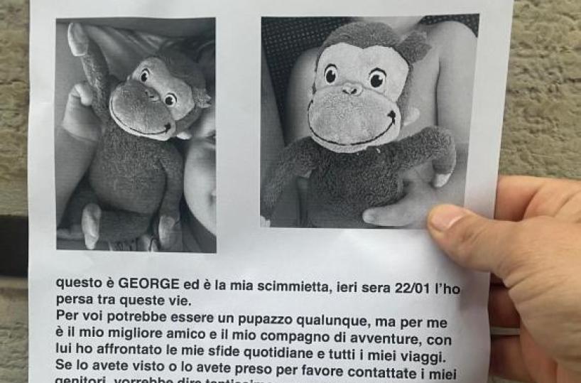 Bimbo perde la sua scimmietta e Bari cerca George: «Non è solo un peluche»