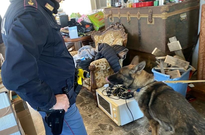 Martina Franca, aveva avviato una serra di marijuana nel garage di casa: 38enne arrestato 