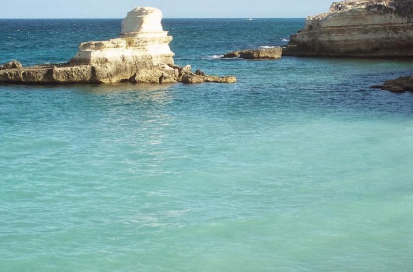 Marina di Melendugno, ritrovato a riva un delfino senza vita 