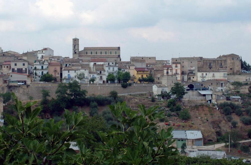 Cento alberi della memoria per ricordare i migranti morti per fuggire alle guerre