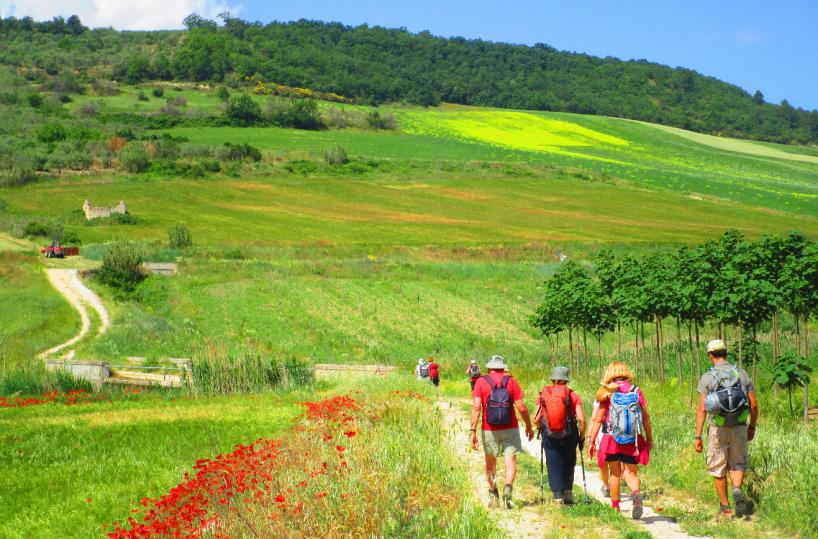 Turismo in Puglia «boom» di viandanti 