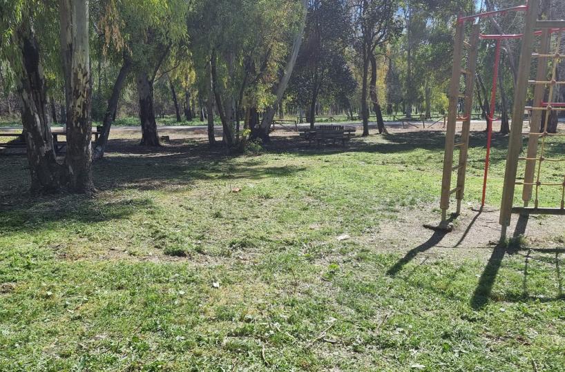 Foggia, il piacere della «gita urbana» al bosco dell’Incoronata