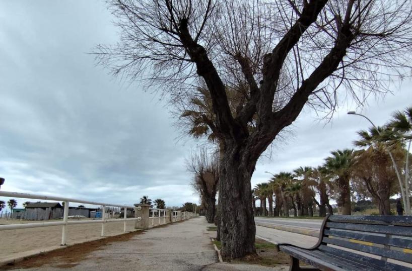 La costa di Barletta si fa bella: al lavoro per accogliere i turisti 