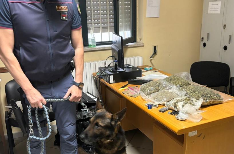 Manduria, nascondeva in casa due chili di marijuana: arrestato 37enne 