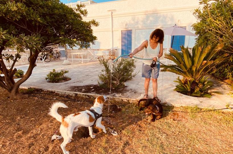 A Savelletri c'è Gus il «cane vicino» più gentile che ci sia
