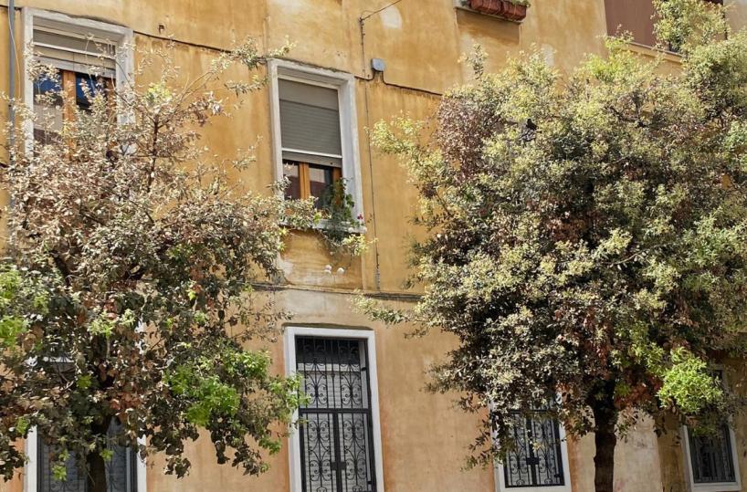 Barletta, i residenti avviano una petizione: «Salviamo il quartiere Medaglie d’oro»
