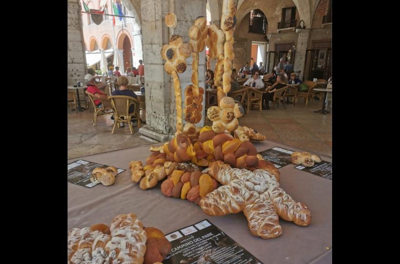 Il cammino del pane da Matera a Treviso