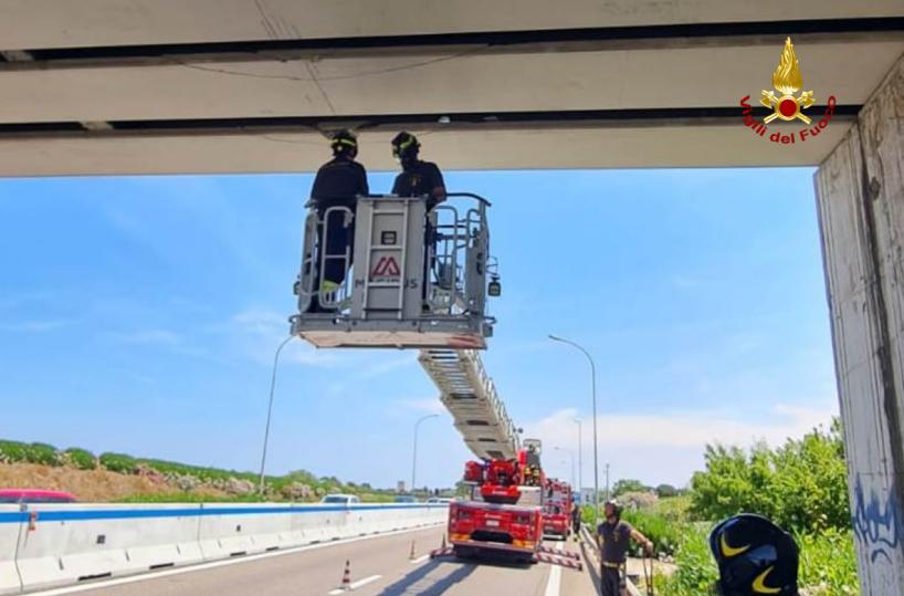 Tir urta cavalcavia con braccio meccanico nel Barese: calcinacci colpiscono auto in transito