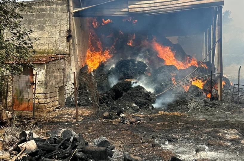 Bruciano le sterpaglie sulla SS100 ai lati della strada, le fiamme raggiungono un'azienda agricola