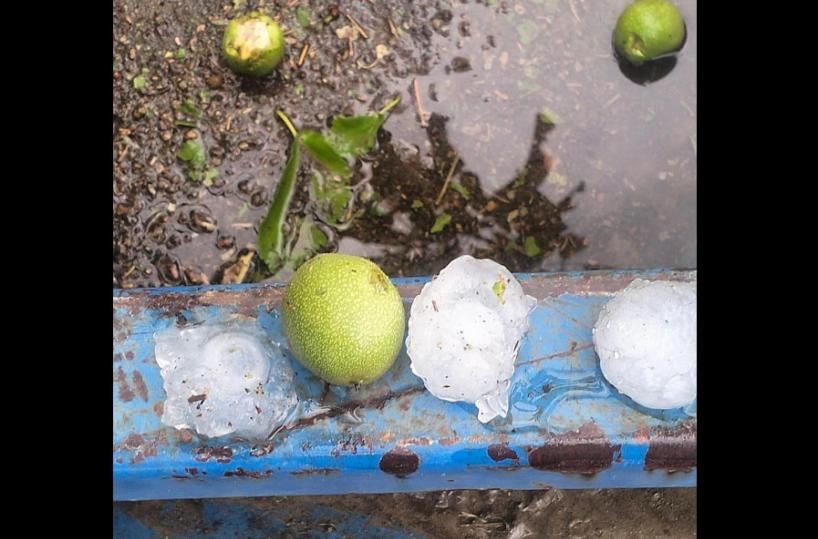 Tromba d'aria in Basilicata: e una violenta grandinata danneggia aziende agricole in Metapontino