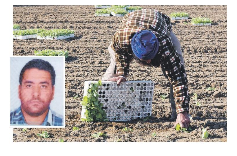 Indiano morto nei campi, un altro giallo a Laterza