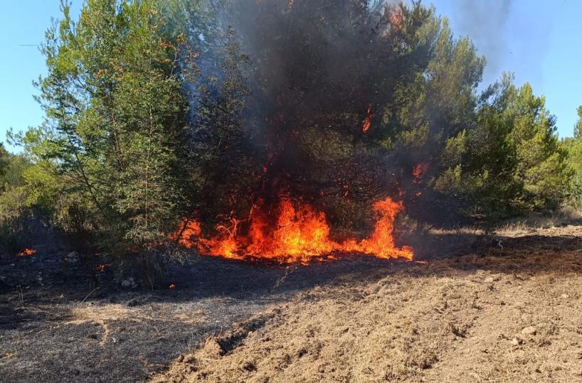Ancora incendi in Puglia: interventi quasi ogni giorno sulla Murgia