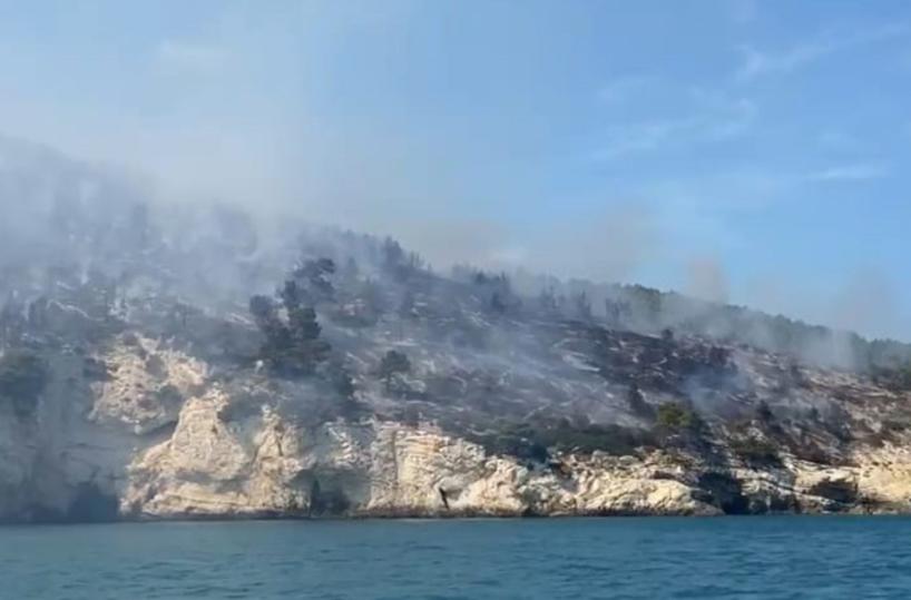 C'è la mafia dei pascoli dietro il rogo di Vieste