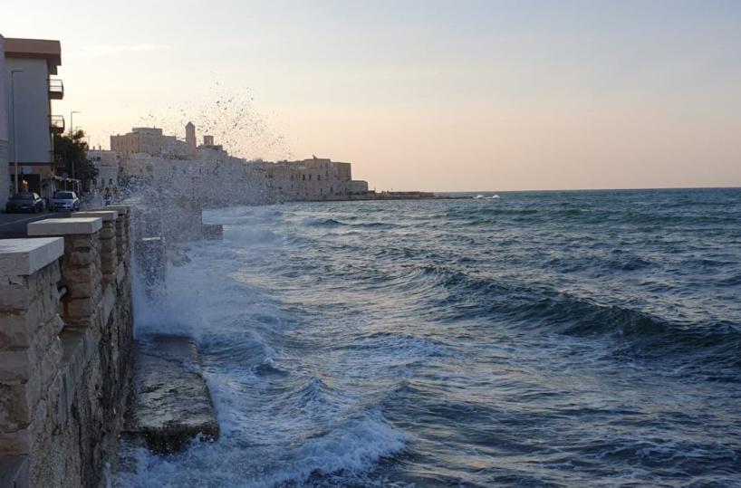 Movida, a Giovinazzo stretta sulla musica: nei weekend orari ridotti