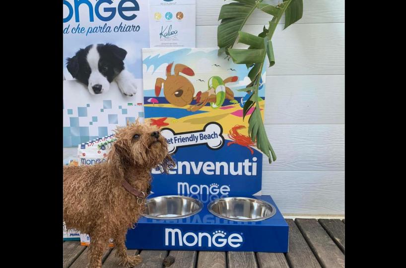 Salento, cibo gratis contro l’abbandono nei lidi «amici degli animali»