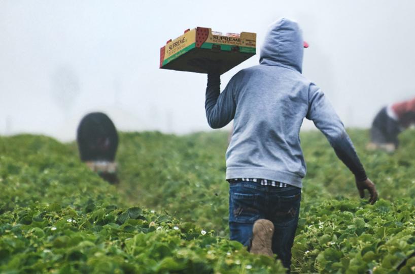 «Noi, sfruttati nei campi sotto il sole a pochi chilometri da chi è in vacanza»