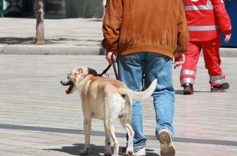 Grottaglie,  ecco una nuova ordinanza del sindaco: «I cani sempre con il guinzaglio»