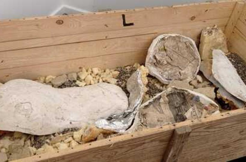 «A Matera 800mila anni fa c'era arcipelago di isole»: la scoperta dei geologi grazie a Balena Giuliana
