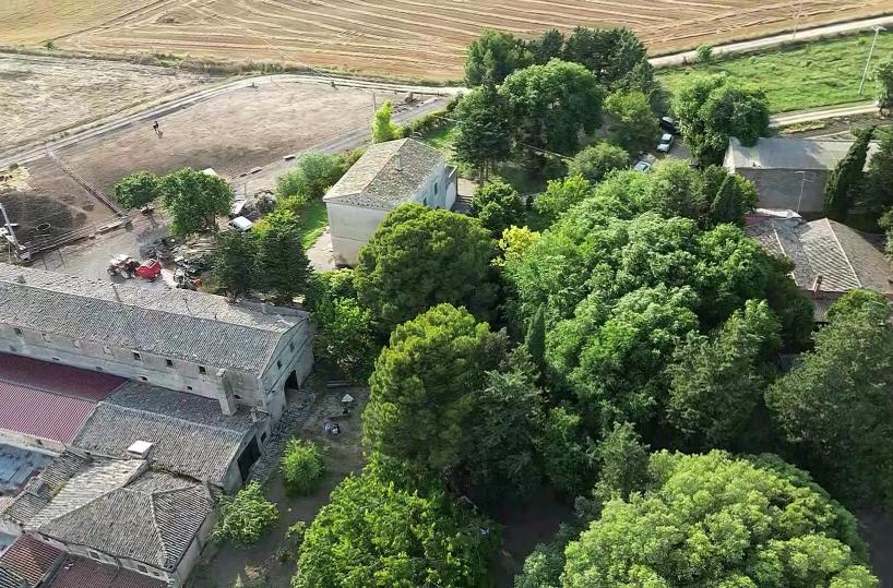 A Gravina in Puglia un incontro aperto alla cittadinanza sulla Gentilezza e la Timidezza