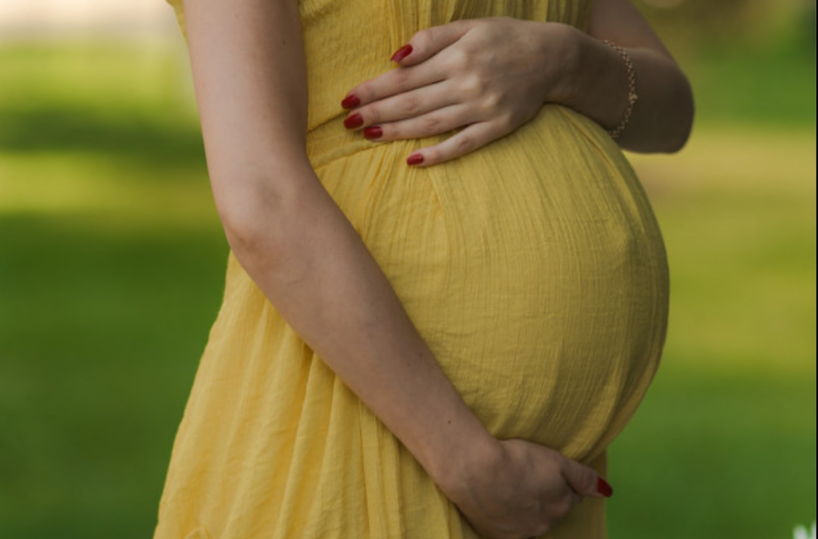 Gpa o utero in affitto? Le parole come strumento per vincere le «guerre»