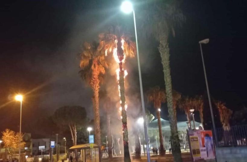 Porto Cesareo, bimbi lanciano dei petardi e danno fuoco a una palma: identificati
