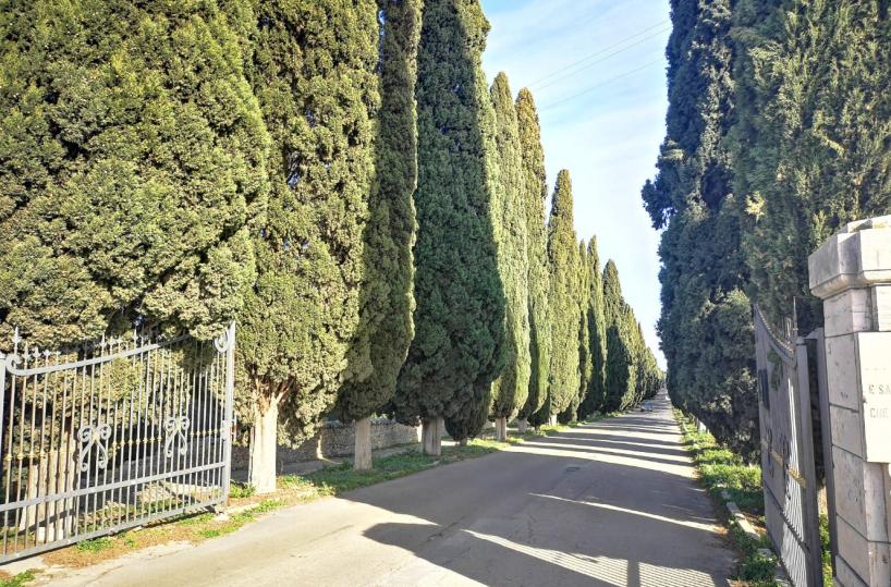 Gli stinchi, i Santi e... il manicomio